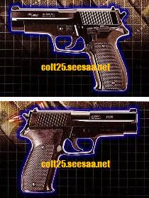 SIG SAUER P226 -KWC S2S: 銃書庫